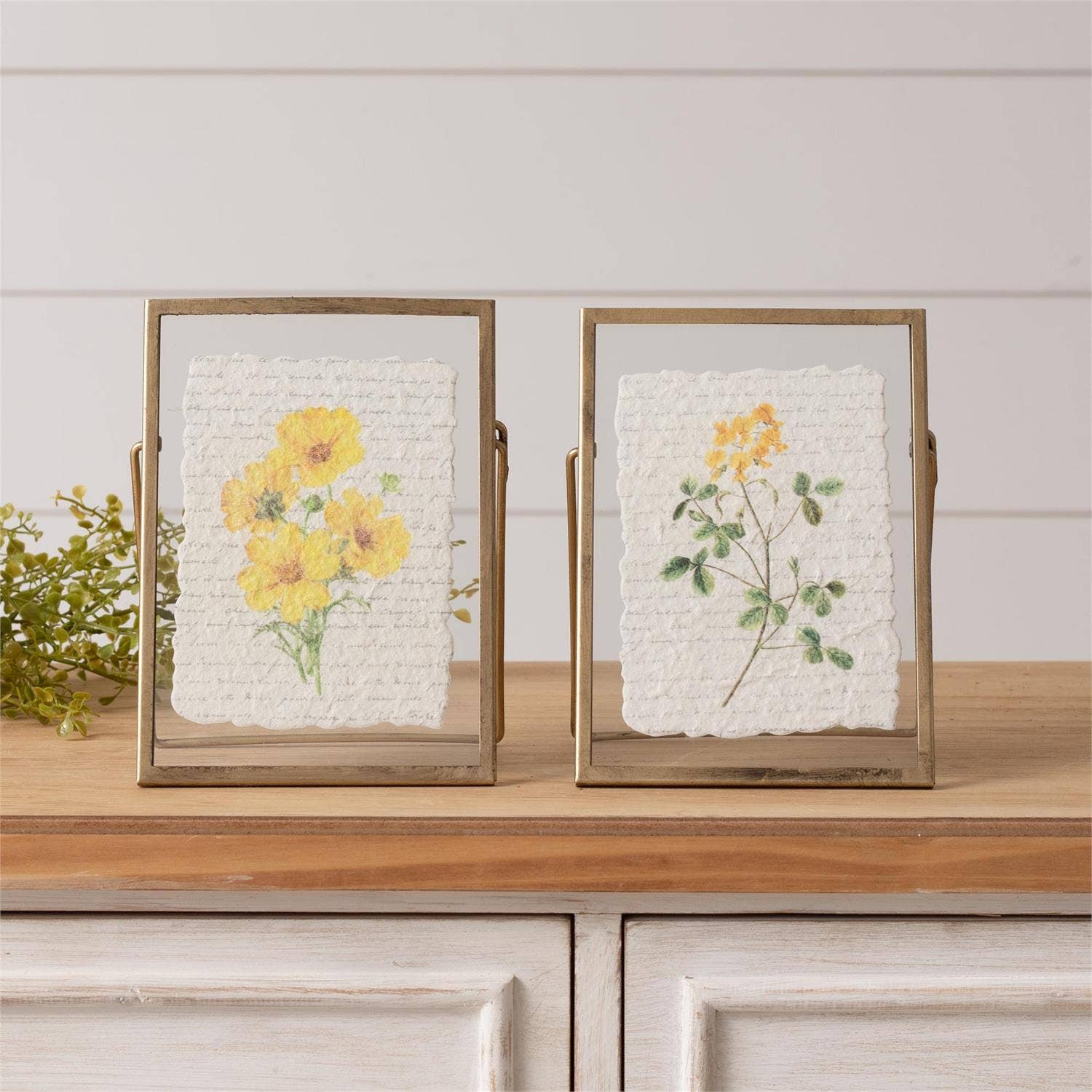 Gold Frames with Yellow Flower
