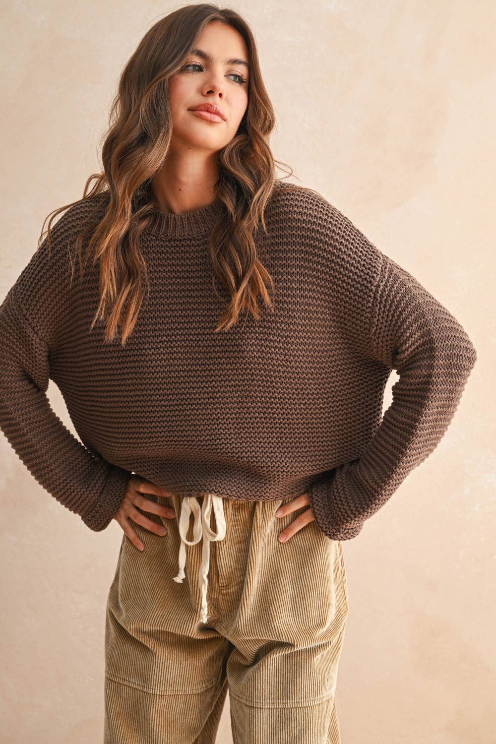 Round Neck Sweater Knitted Top