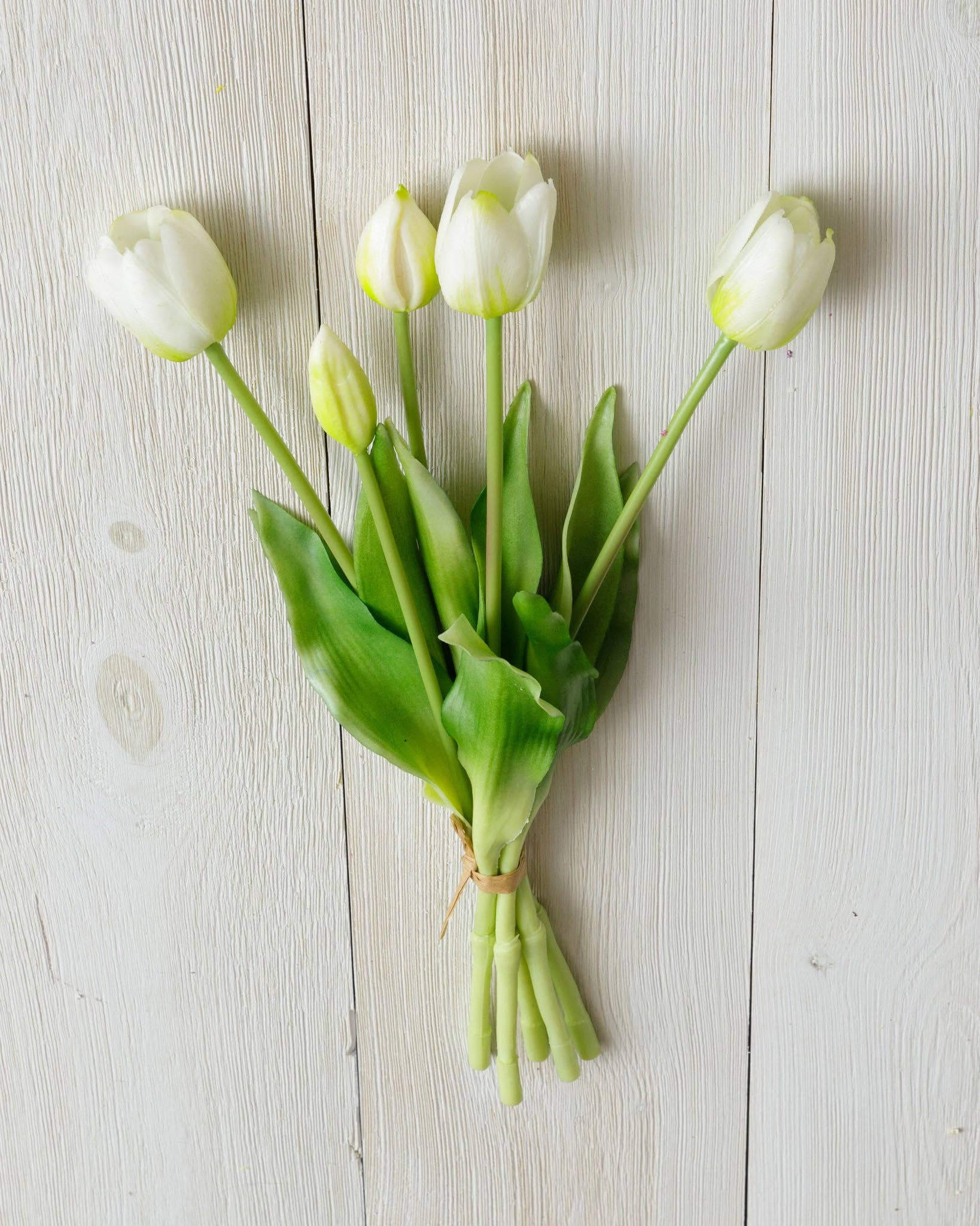 White Tulip Bunch