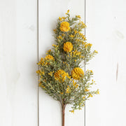 Gold Billy Button Pick