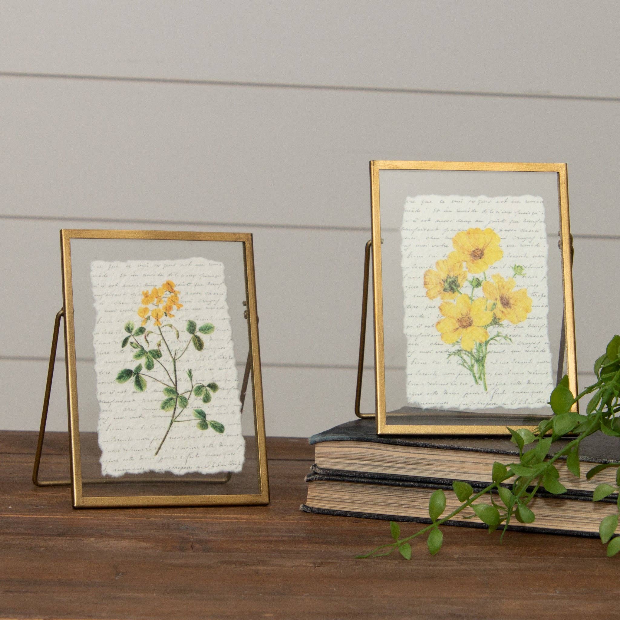 Gold Frames with Yellow Flower